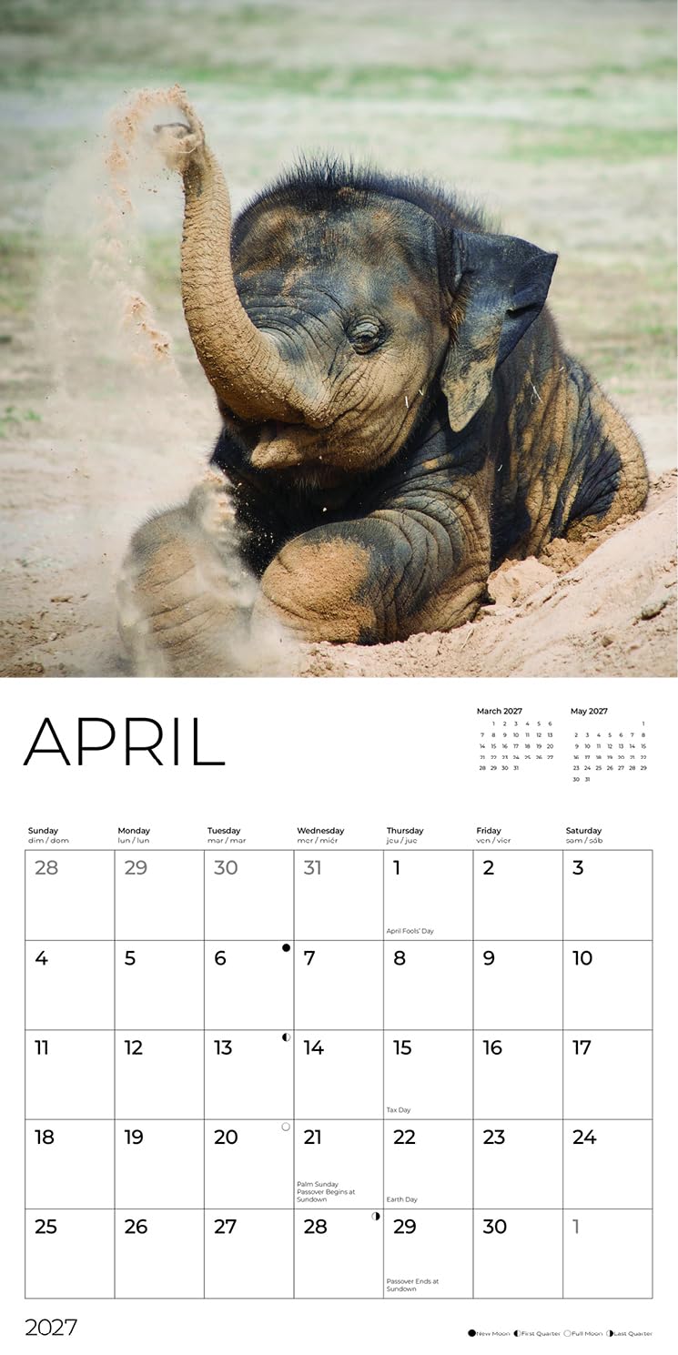 '27 Wall Calendar - Baby Elephants