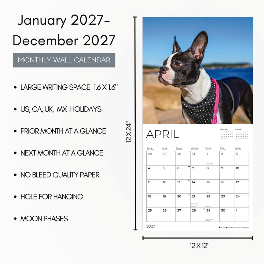 '27 Wall Calendar - Boston Terriers