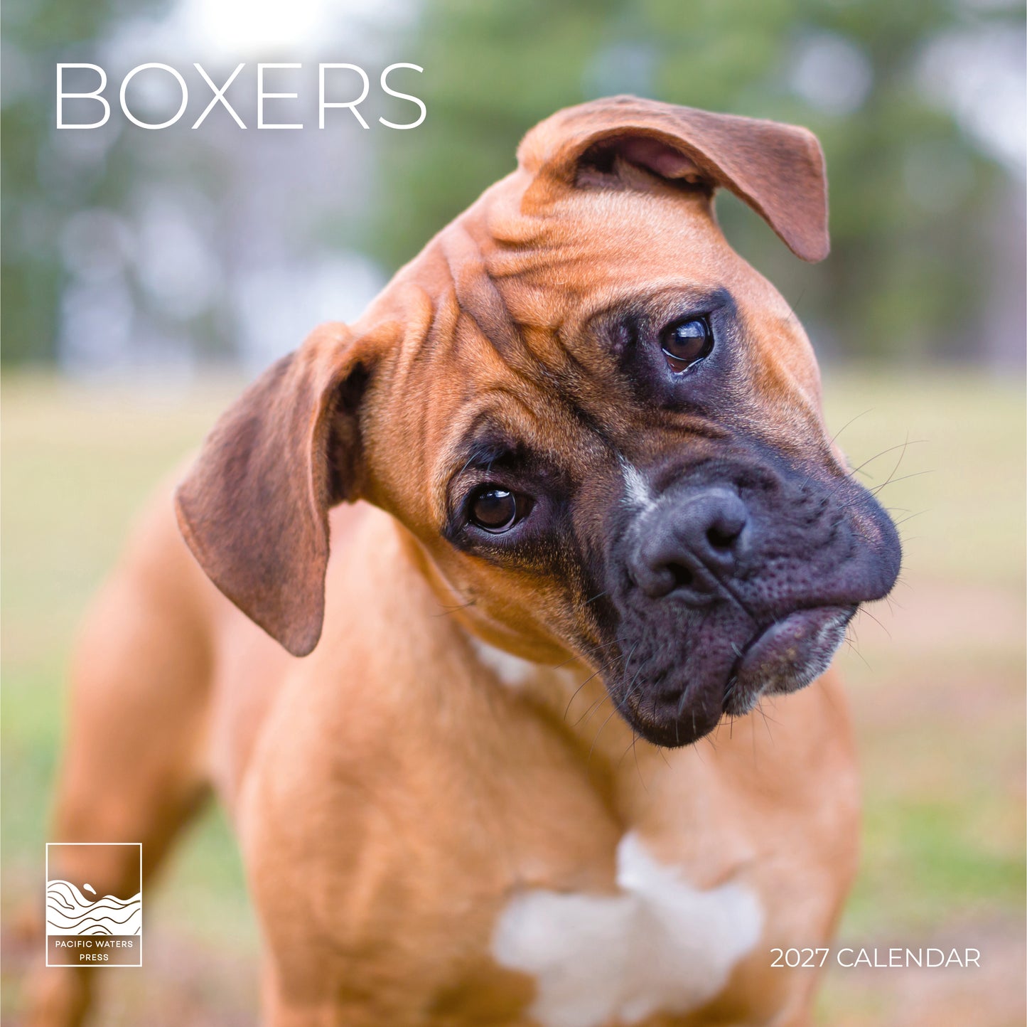'27 Wall Calendar - Boxers