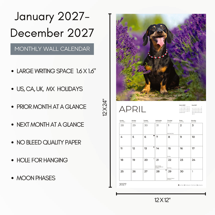 '27 Wall Calendar - Dachshunds