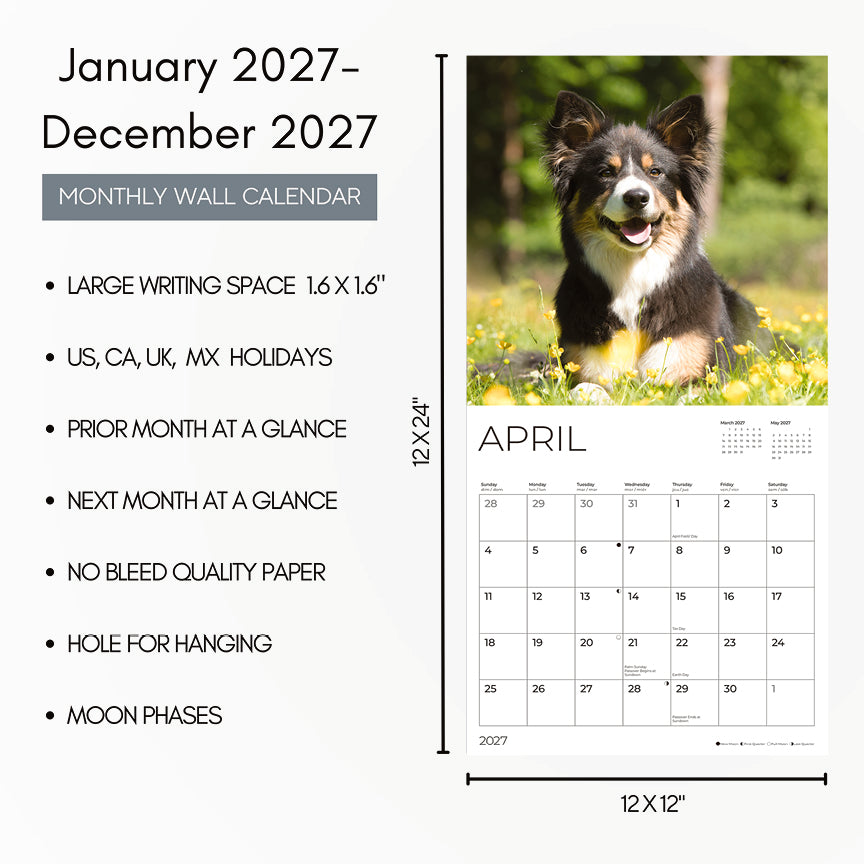 '27 Wall Calendar - Dogs