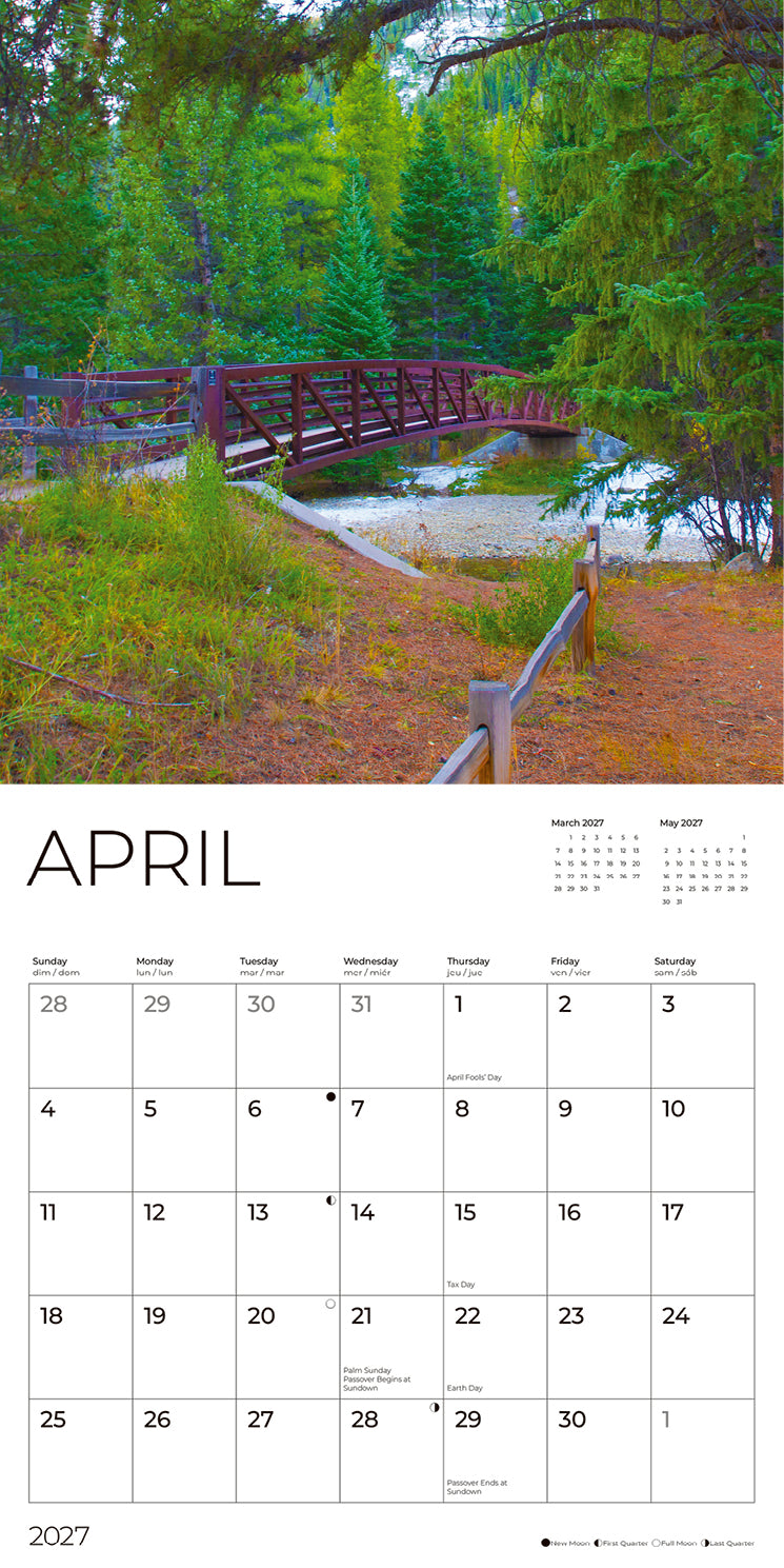 '27 Wall Calendar - Forest Trails