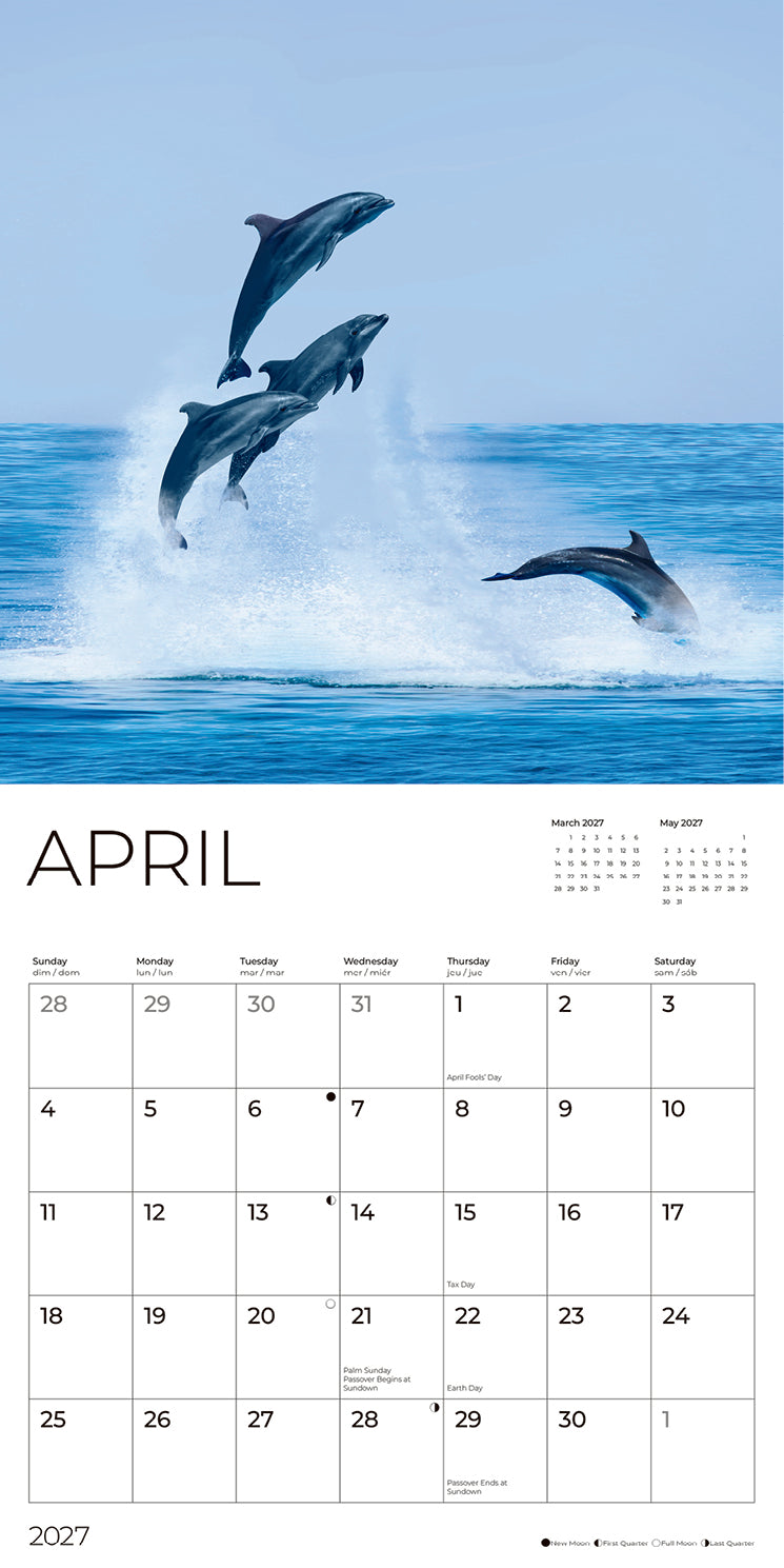 '27 Wall Calendar - Sea Animals