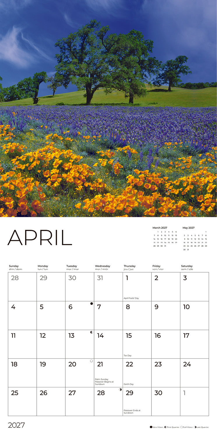 '27 Wall Calendar - Wildflowers