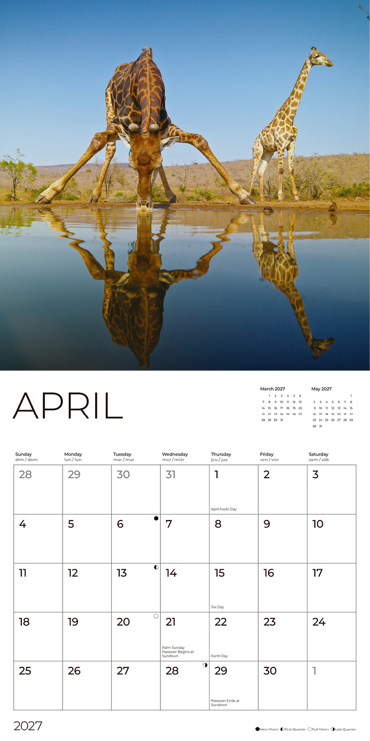 '27 Wall Calendar - Wildlife