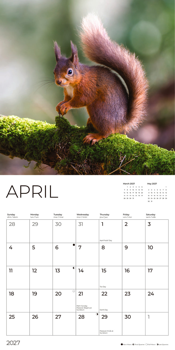 '27 Wall Calendar - Woodland Creatures