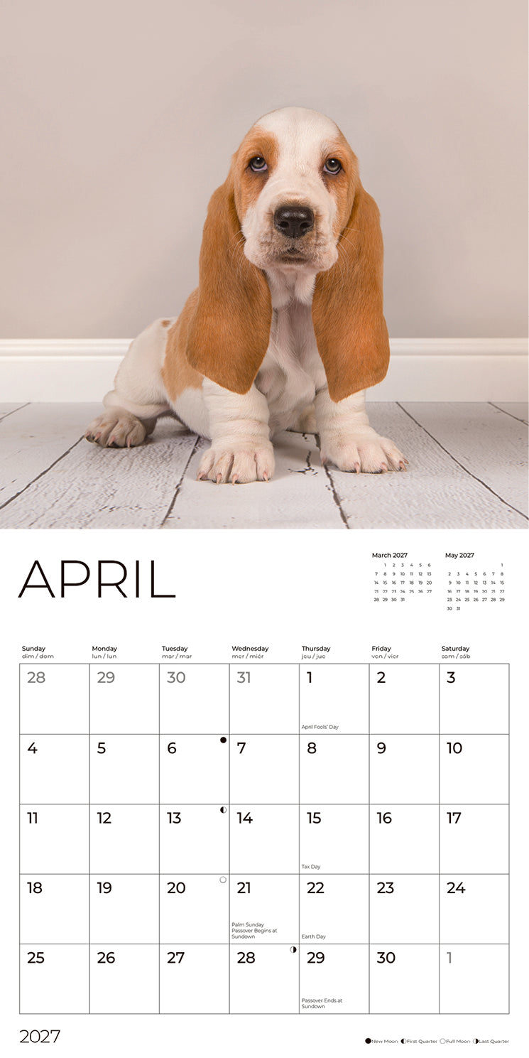'27 Wall Calendar - Basset Hound Puppies