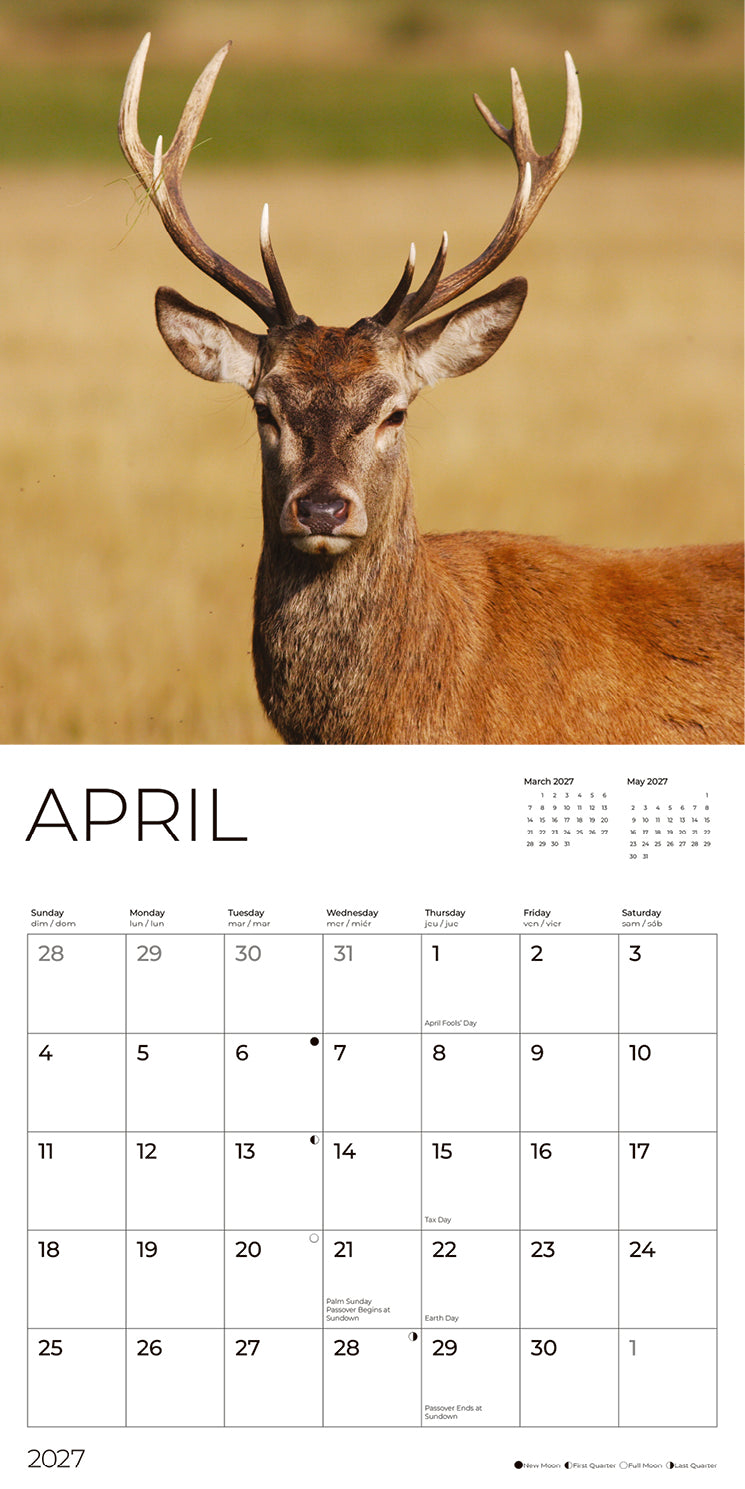 '27 Wall Calendar - Bucks