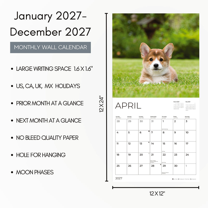 '27 Wall Calendar - Corgis