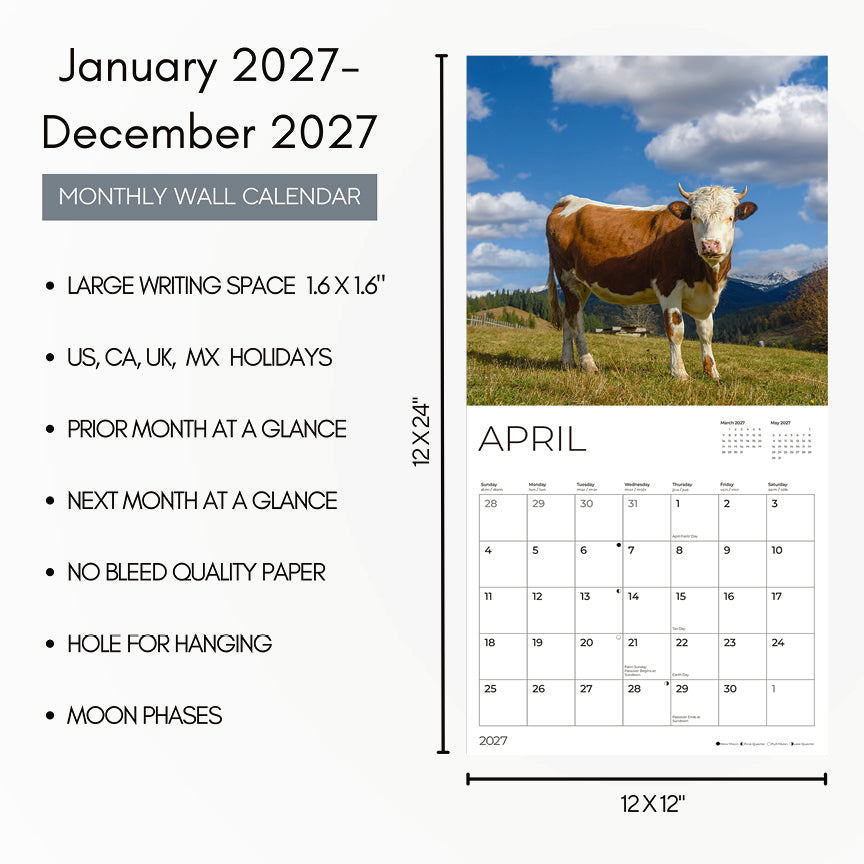 '27 Wall Calendar - Cows