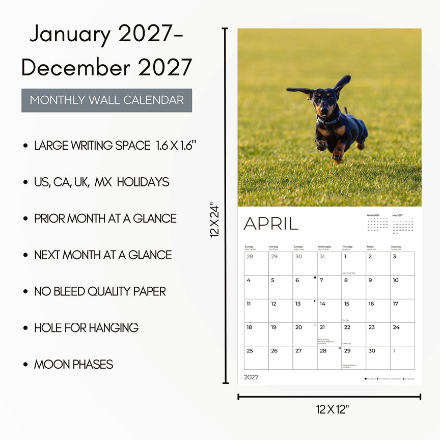 '27 Wall Calendar - Dachshund Puppies