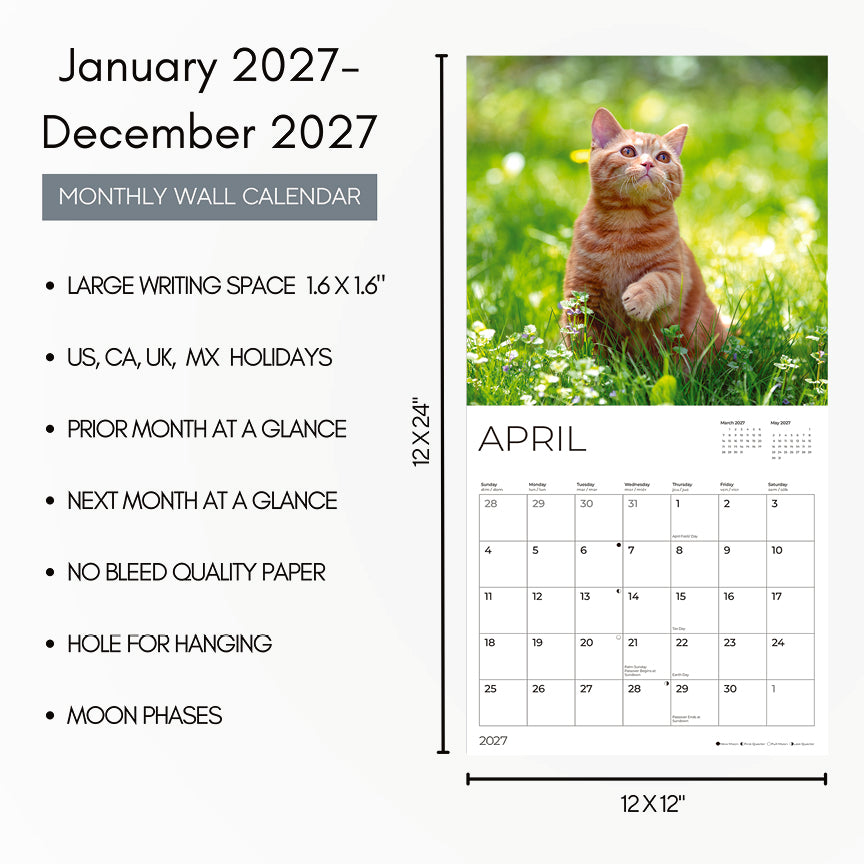 '27 Wall Calendar - Ginger Cats