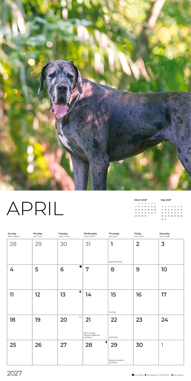 '27 Wall Calendar - Great Danes