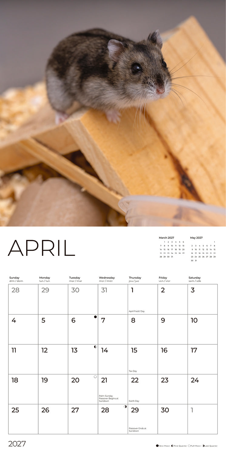 '27 Wall Calendar - Hamsters