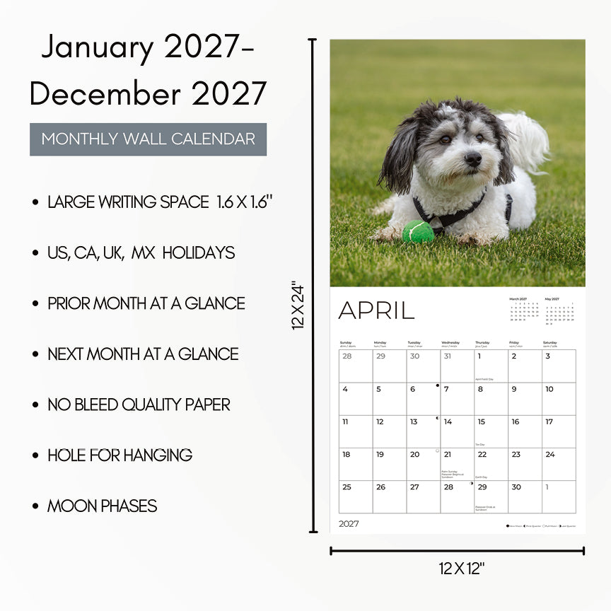 '27 Wall Calendar - Havanese