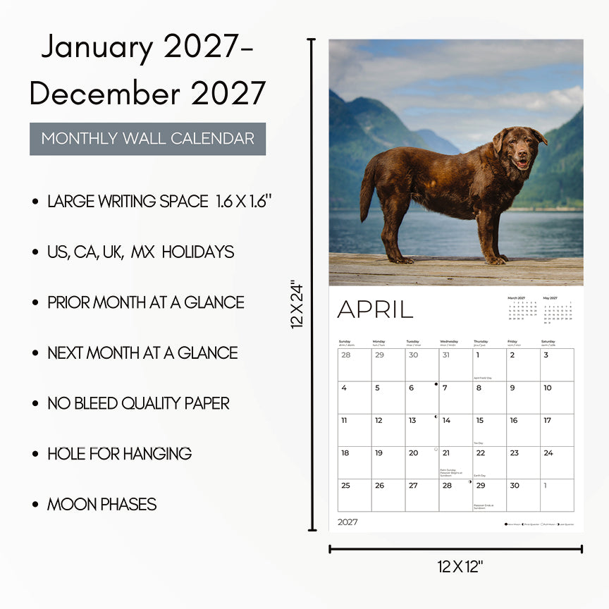 '27 Wall Calendar - Labrador Retrievers