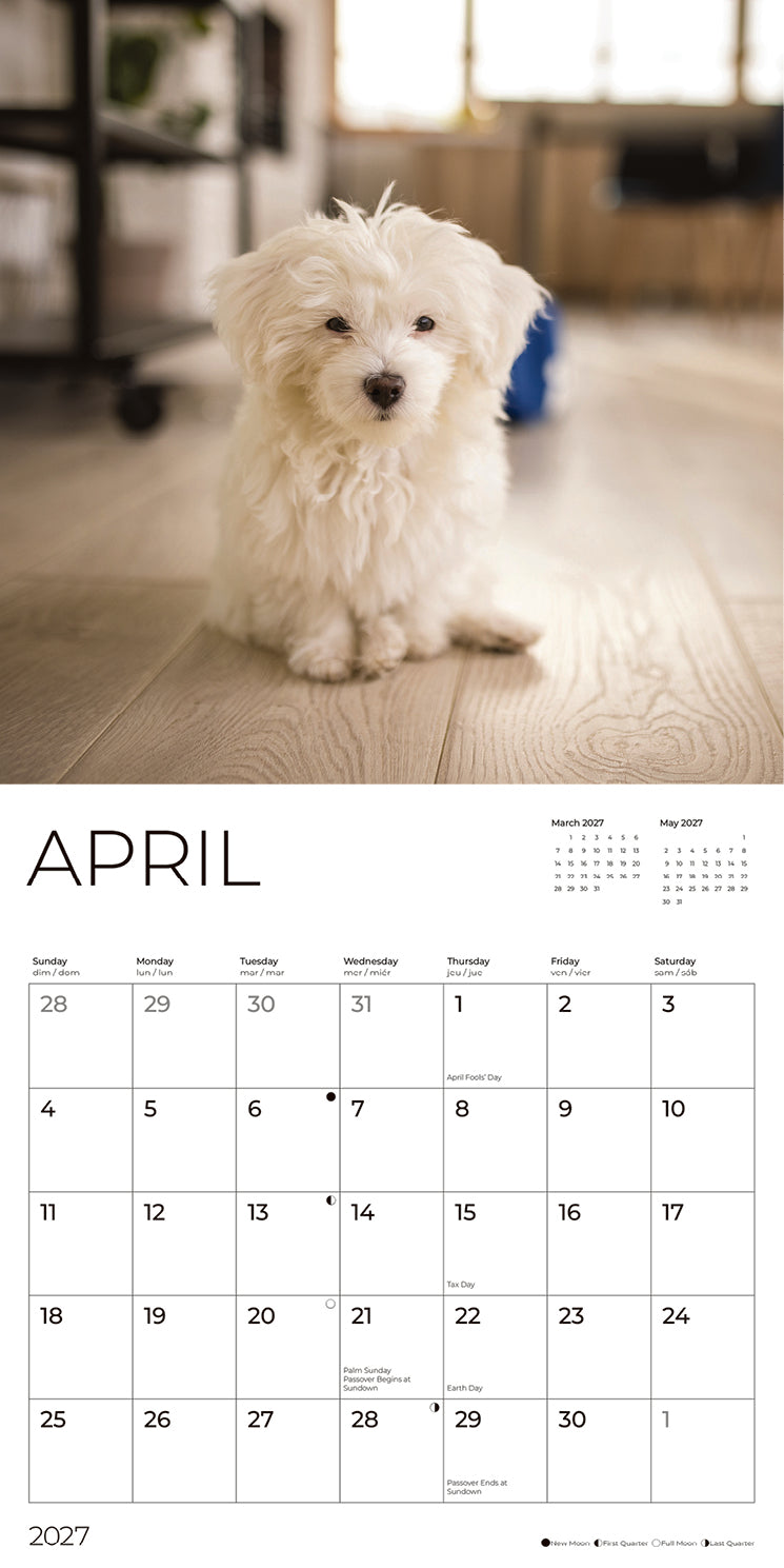'27 Wall Calendar - Maltese