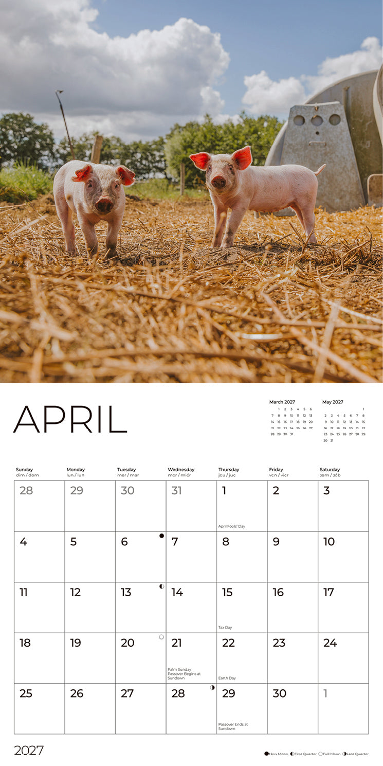 '27 Wall Calendar - Piglets