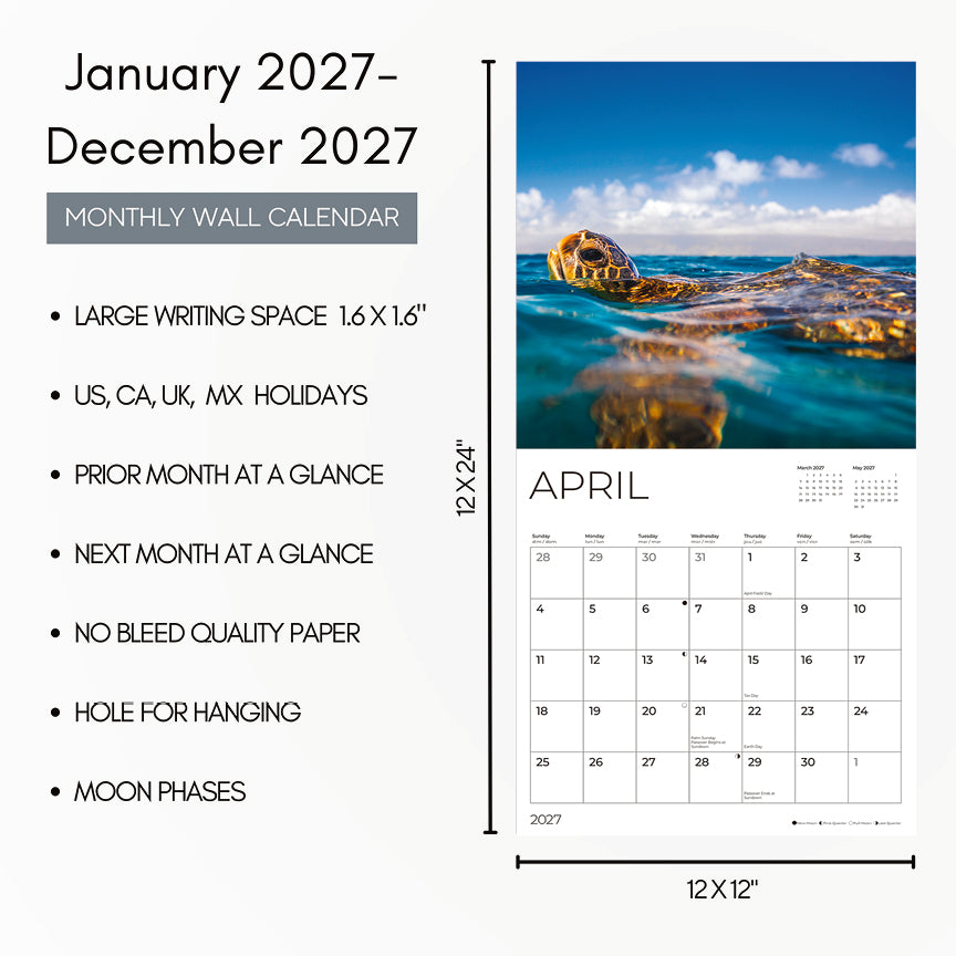 '27 Wall Calendar - Sea Turtles