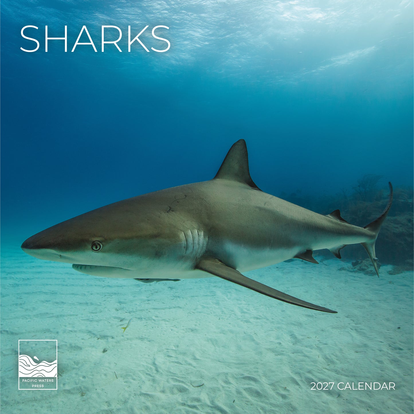 '27 Wall Calendar - Sharks