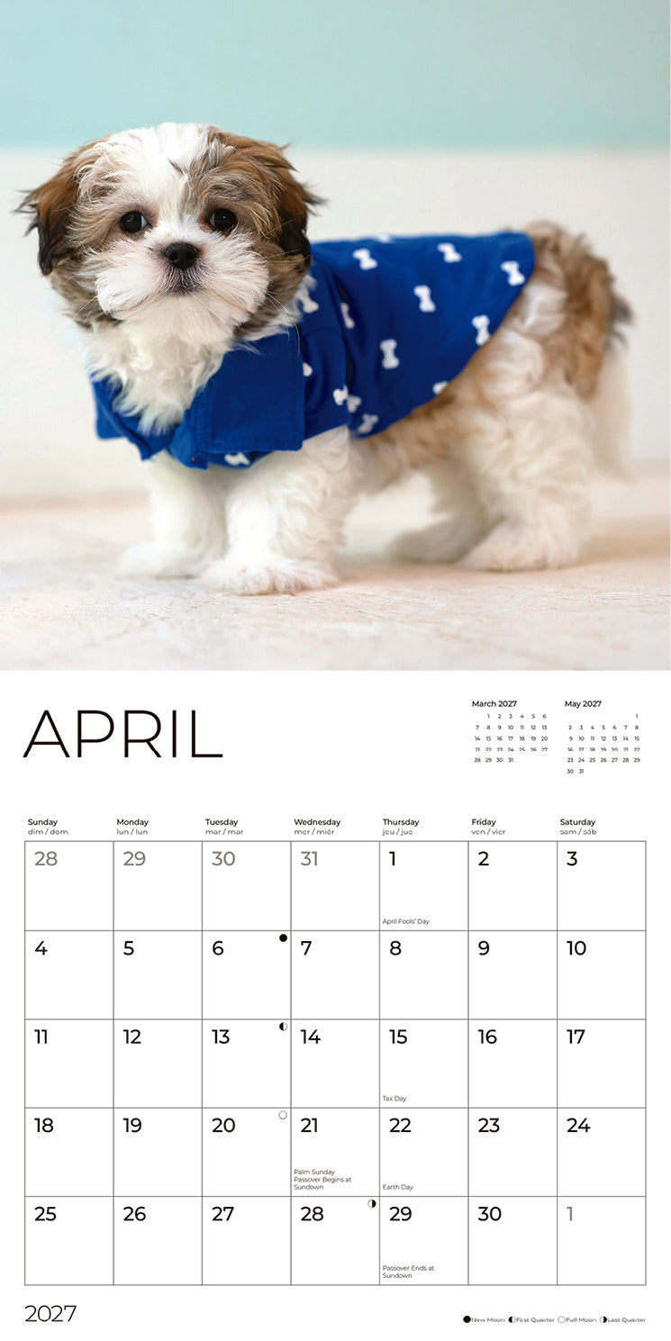 '27 Wall Calendar - Shih Tzu Puppies