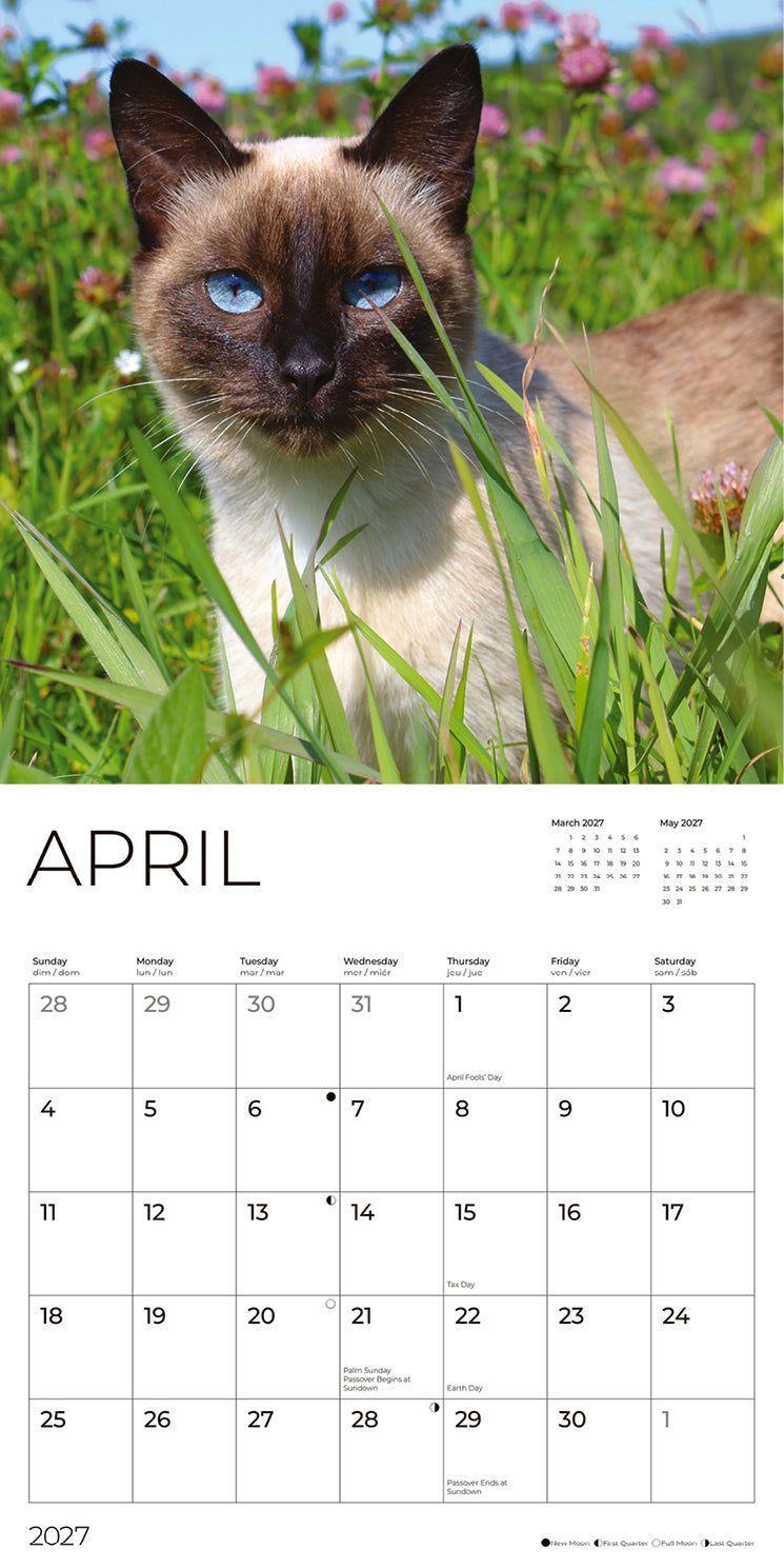 '27 Wall Calendar - Siamese Cats