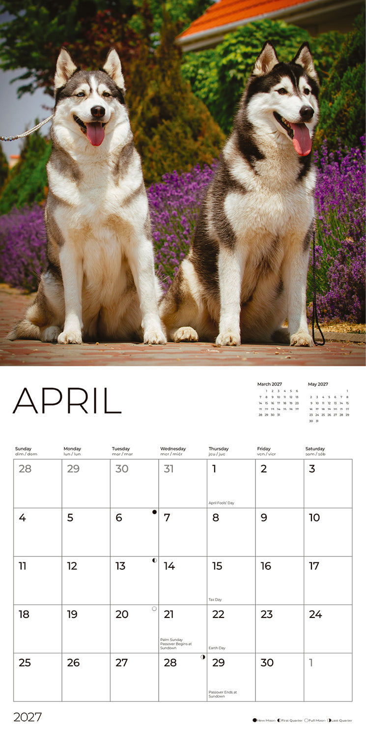 '27 Wall Calendar - Siberian Huskies