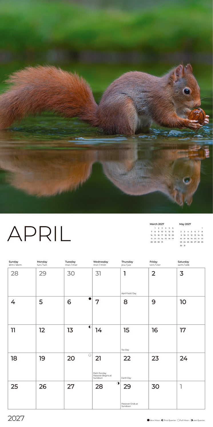 '27 Wall Calendar - Squirrels