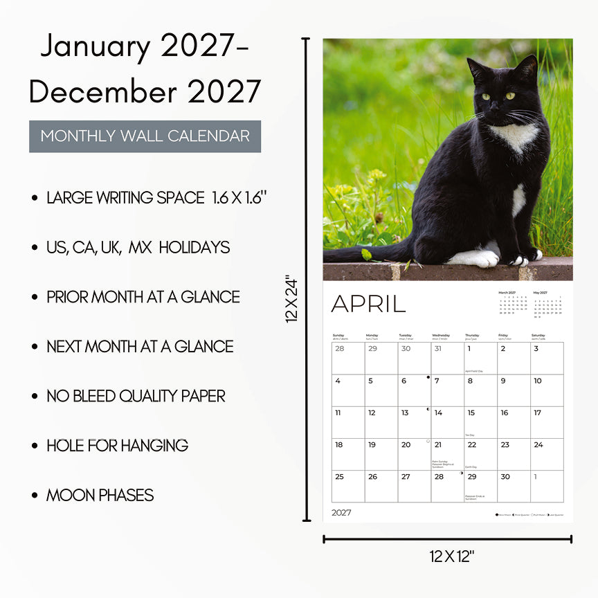 '27 Wall Calendar - Tuxedo Cats