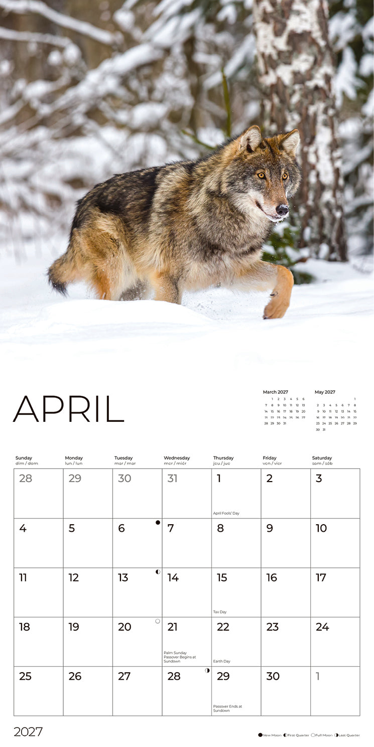 '27 Wall Calendar - Wolves
