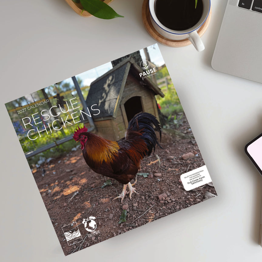 PFC: '27 Wall Calendars - Rescue Chickens - Gives Back!