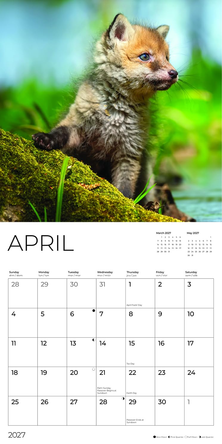 '27 Wall Calendar - Baby Foxes