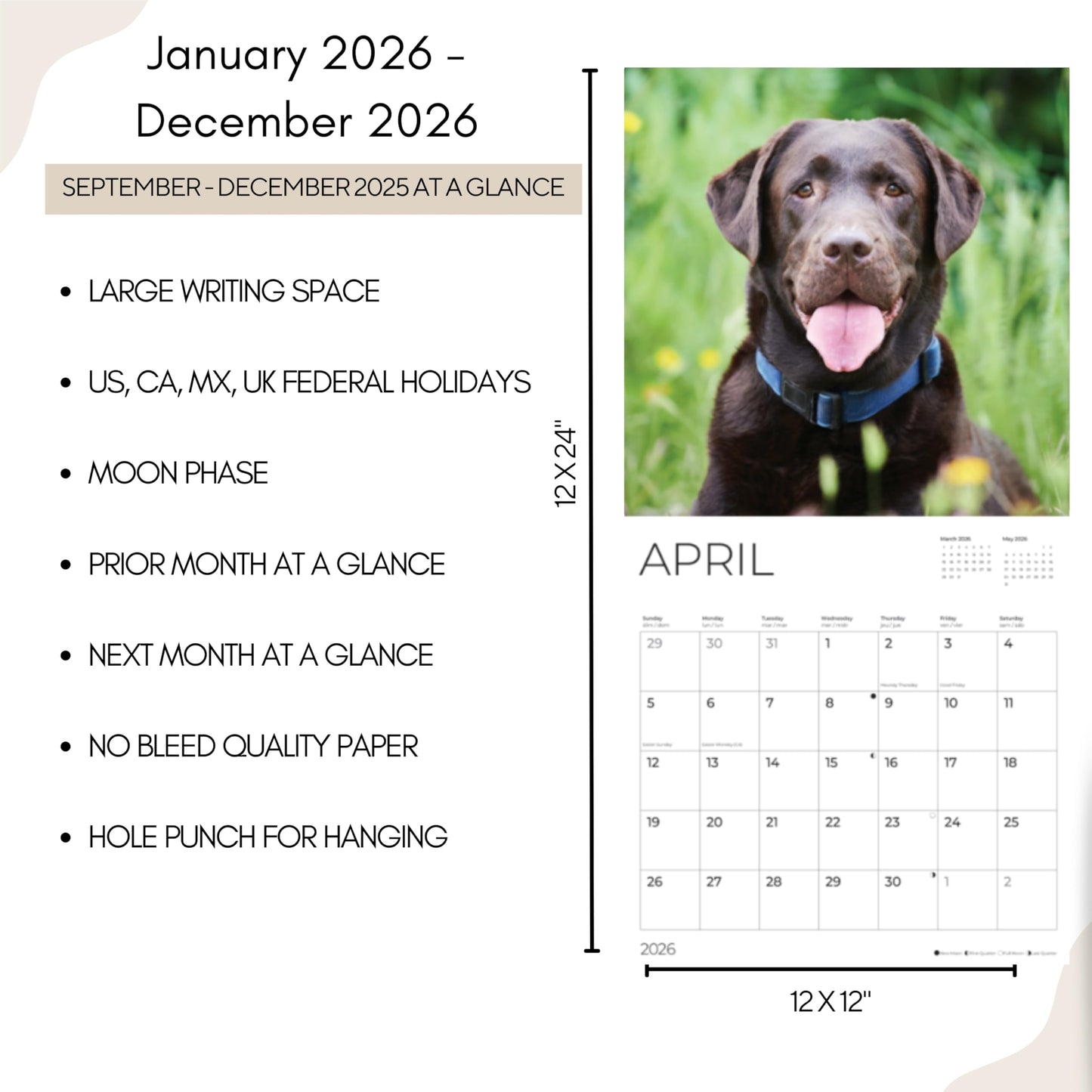 '26 Wall Calendar - Dogs