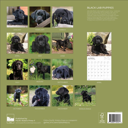 '26 Wall Calendar - Dogs