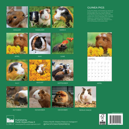 '26 Wall Calendar - Baby Animals