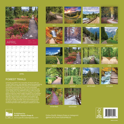 '26 Wall Calendar - Forest Trails - 18mo