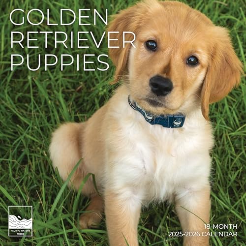 '26 Wall Calendar - Dogs - 18mo