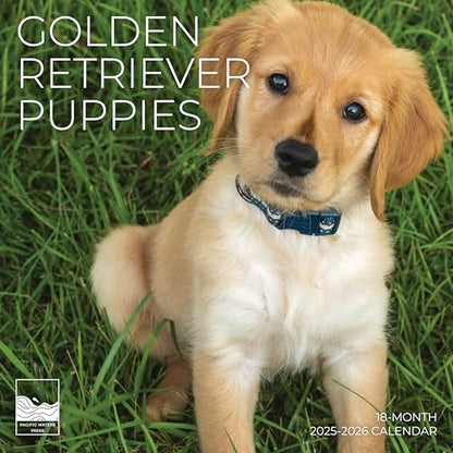 '26 Wall Calendar - Dogs - 18mo