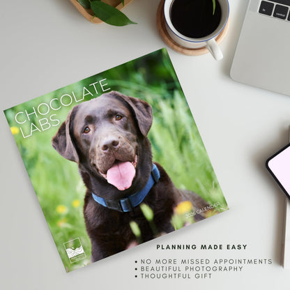 '26 Wall Calendar - Dogs