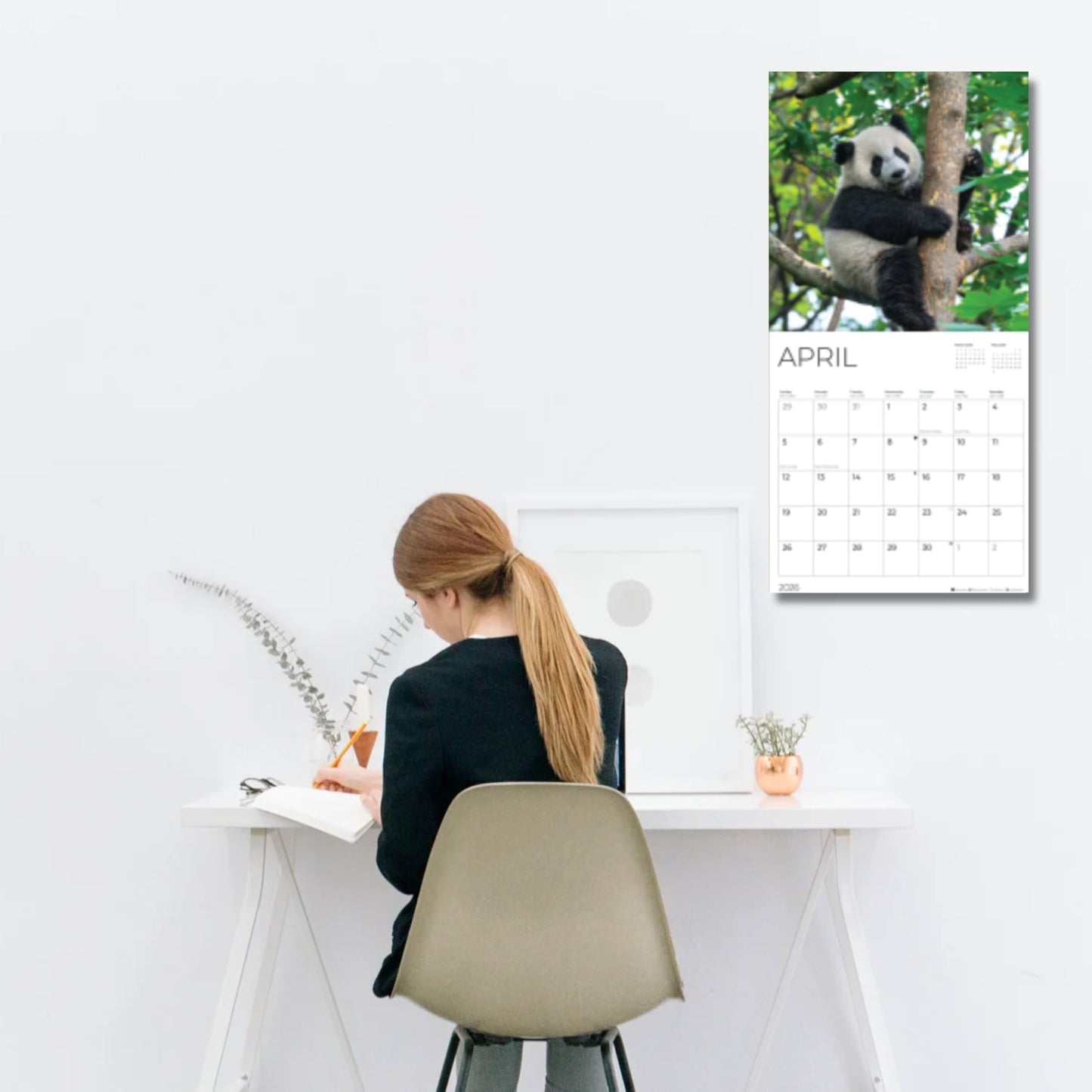 '26 Wall Calendar - Baby Animals
