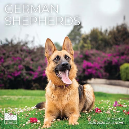 '26 Wall Calendar - Dogs - 18mo