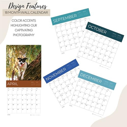 '26 Wall Calendar - Dogs - 18mo