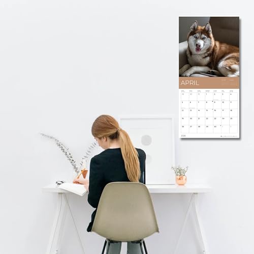 '26 Wall Calendar - Dogs - 18mo
