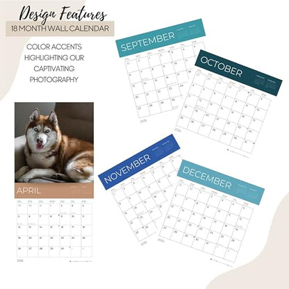 '26 Wall Calendar - Dogs - 18mo