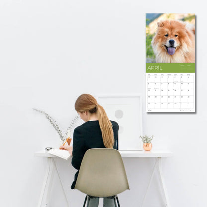 '26 Wall Calendar - Dogs - 18mo