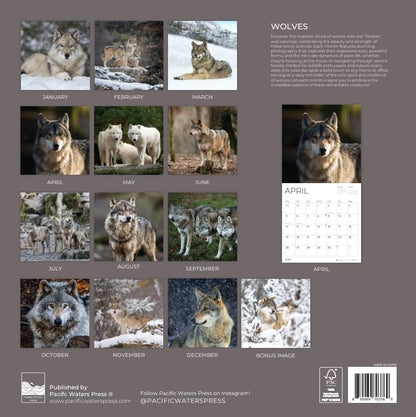 '26 Wall Calendar - Beaches around the Globe