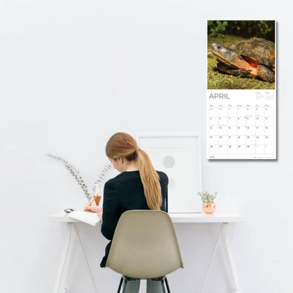 '26 Wall Calendar - Nature