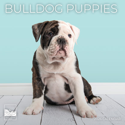 '26 Wall Calendar - Dogs