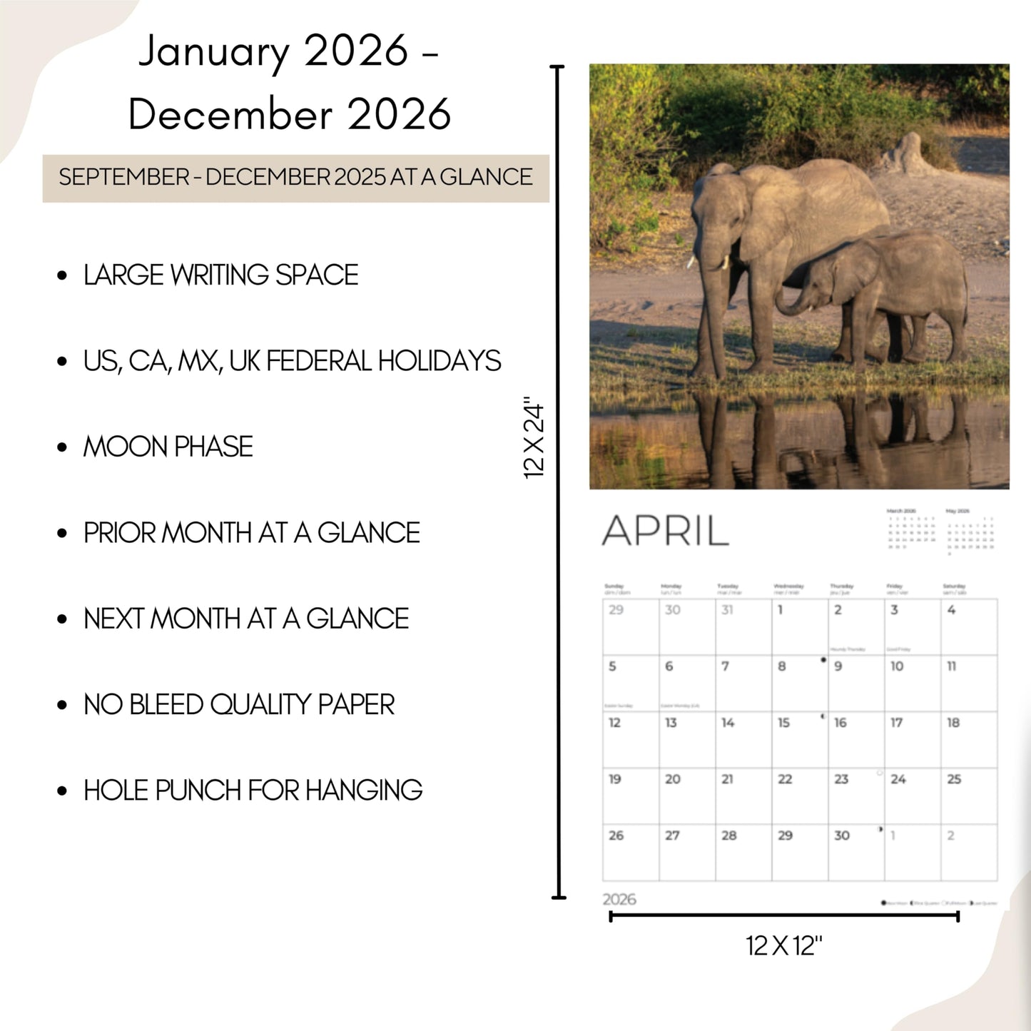 '26 Wall Calendar - Baby Animals