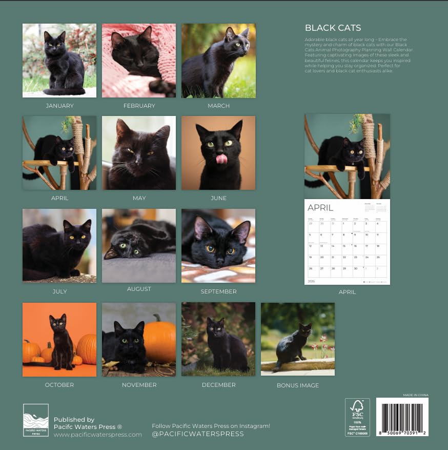 '26 Wall Calendar - Cats & Kittens